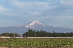 長浜から眺める伊吹山