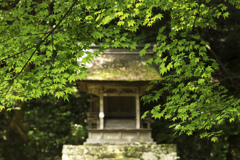 湖東三山_百済寺にて④