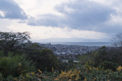 彦根城から見える琵琶湖