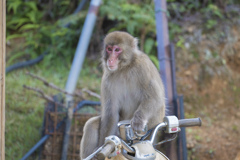 バイク乗り