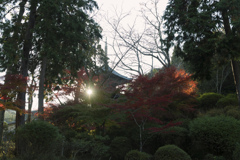 三井寺にて：三重塔と夕暮れの光