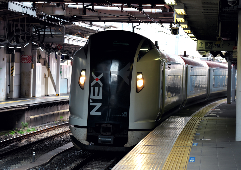 品川駅にて　NEX入線