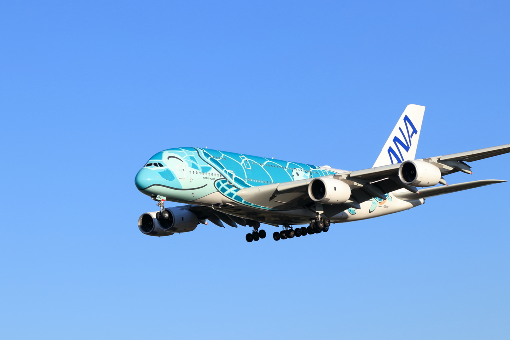 フライングホヌ　2号機