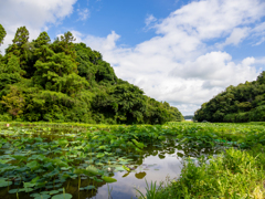 里山にて