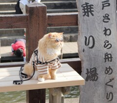 いらっしゃいませー♪