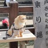 いらっしゃいませー♪