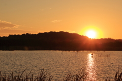 印旛沼の日没