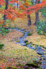 彩りのせせらぎ