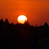 夕日