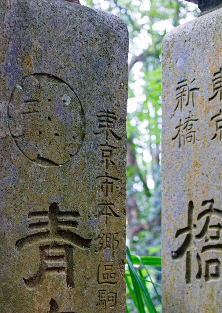 歴史