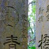 歴史
