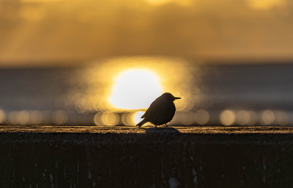 sunrise