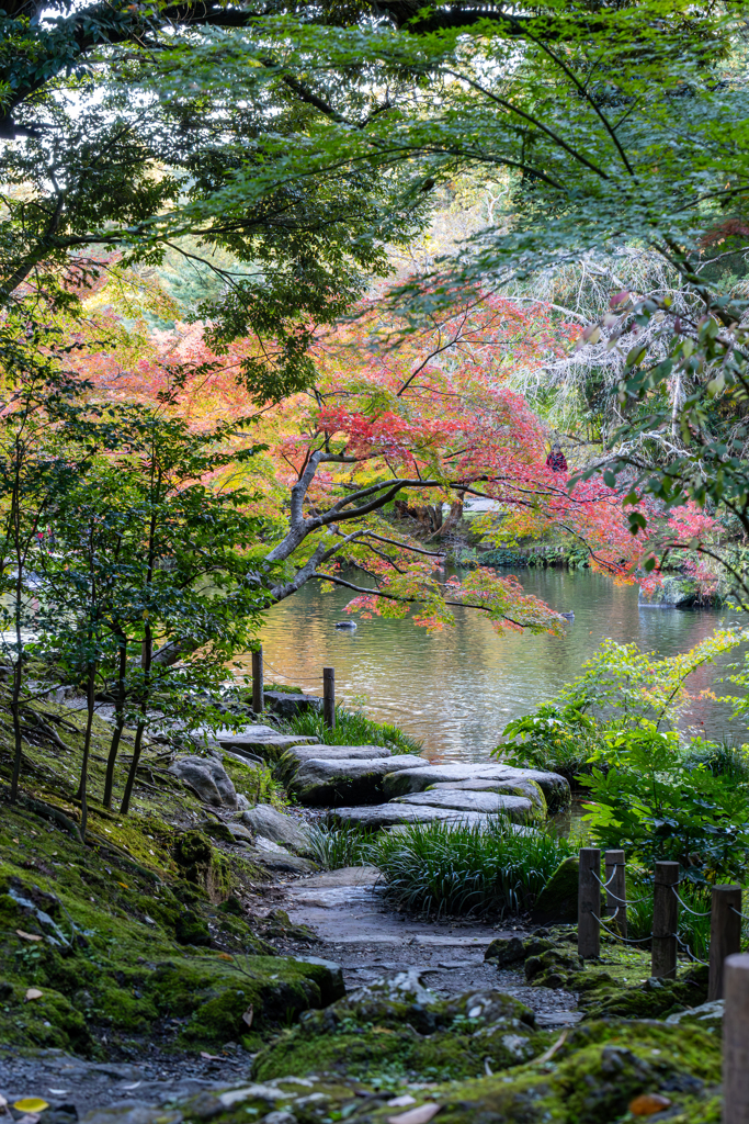 紅葉道