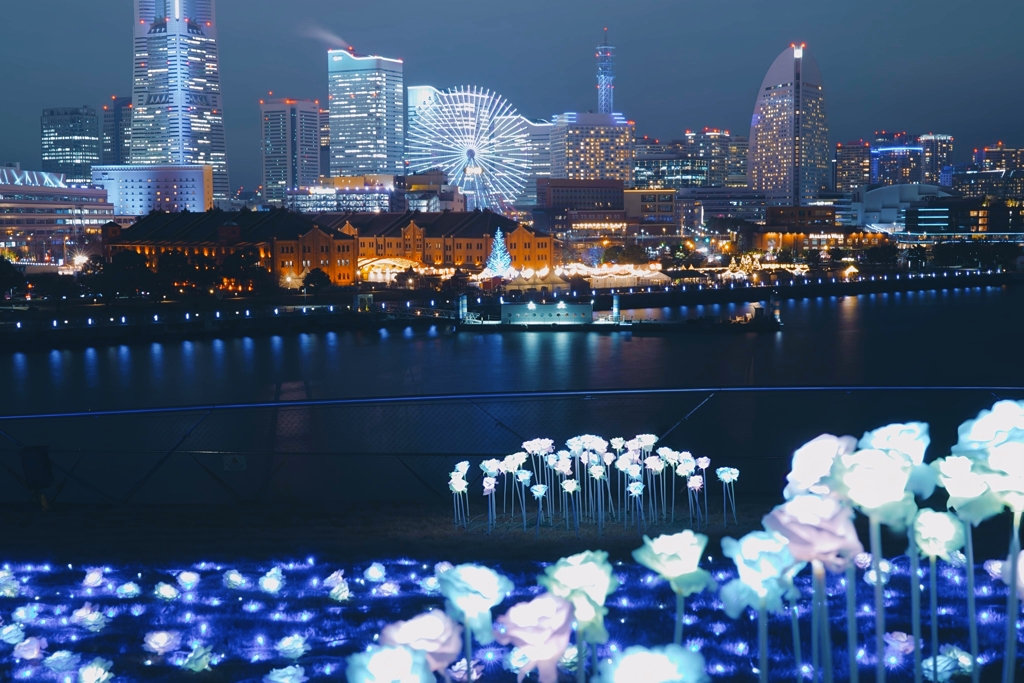 この時期に咲く