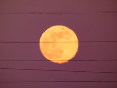 放射冷却が影響中