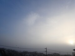 鳩さんのいる濃霧の朝