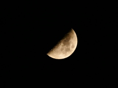 昨夜の上弦の月