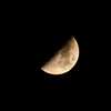 昨夜の上弦の月