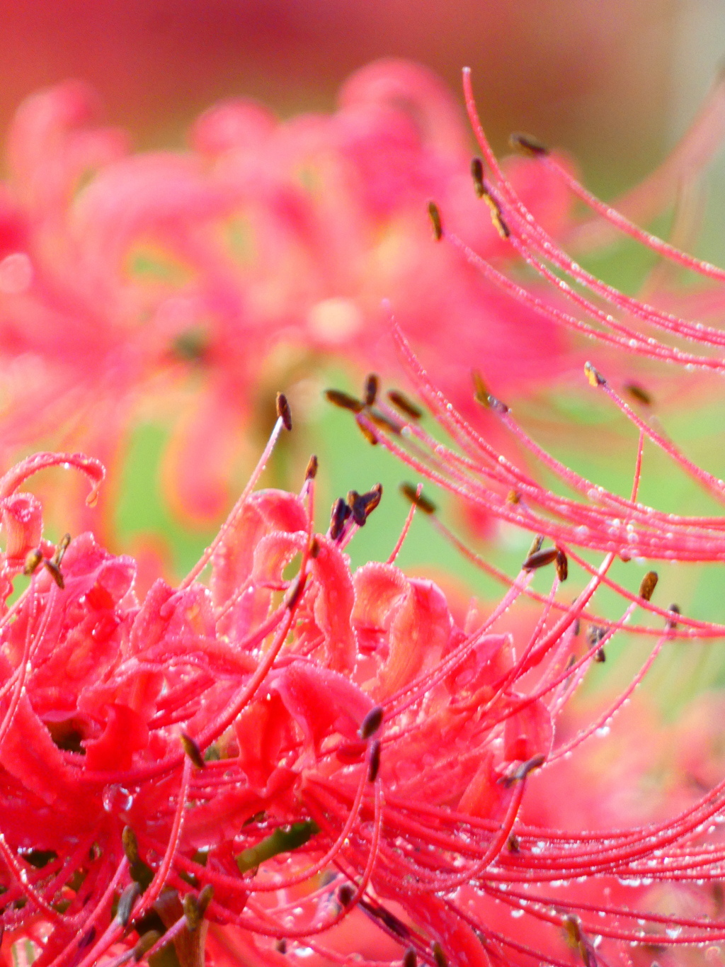 最後まで明るく