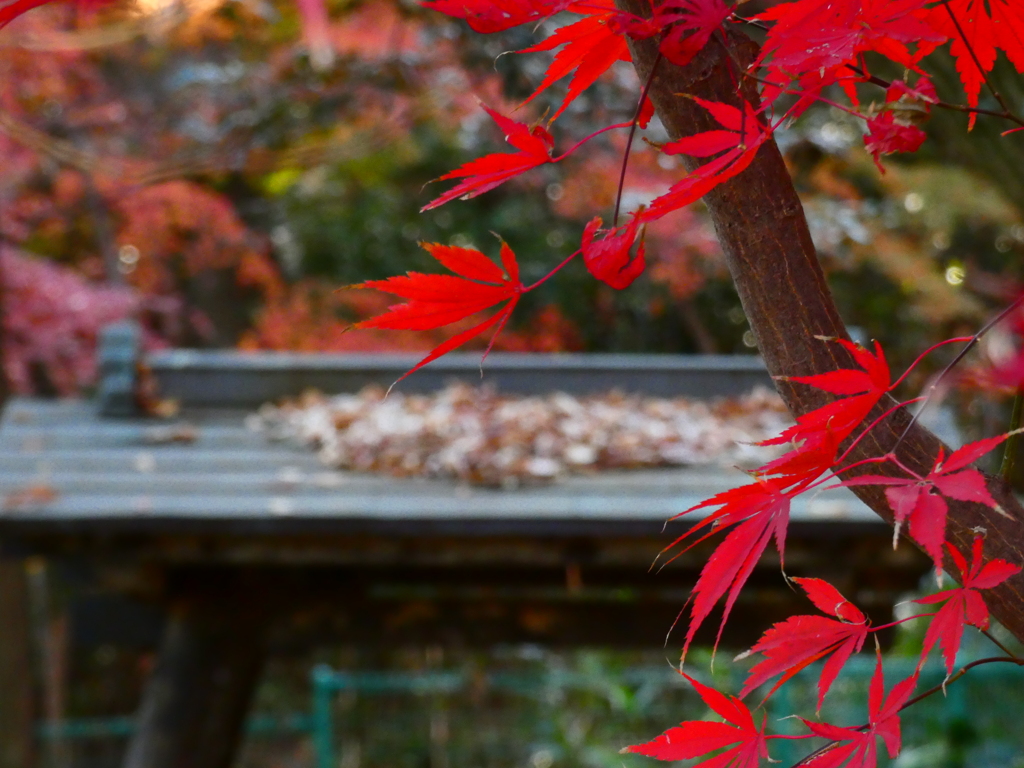 興禅院弁財天堂