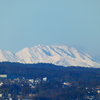 高崎・達磨寺から上州武尊山の方向