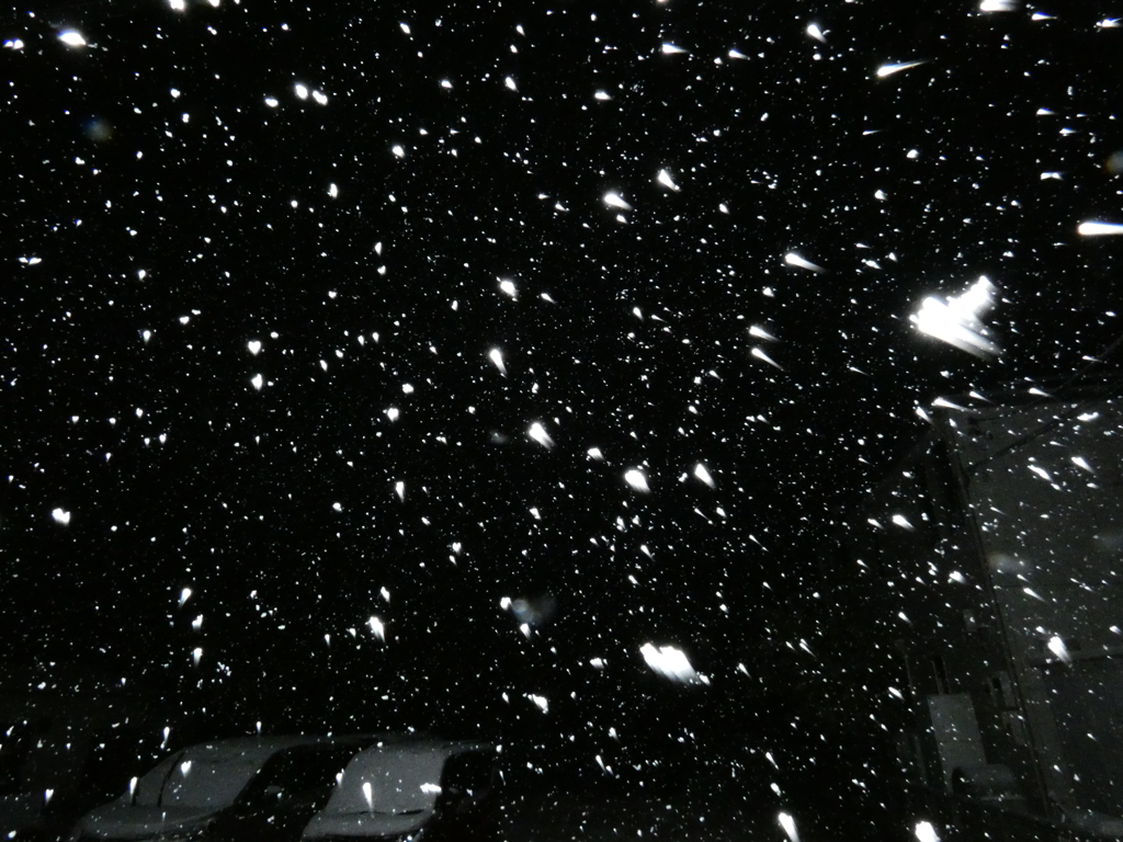 雪降り