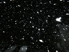 雪降り