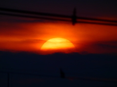 今朝のお陽さま