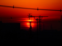 大寒の日の始まり