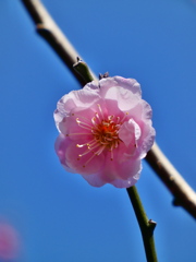 見驚