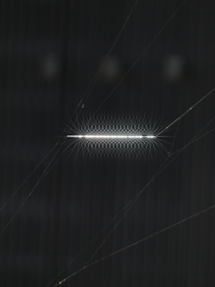 Mysterious geomet