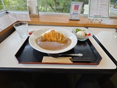 三元豚カツカレーポテサラ付き