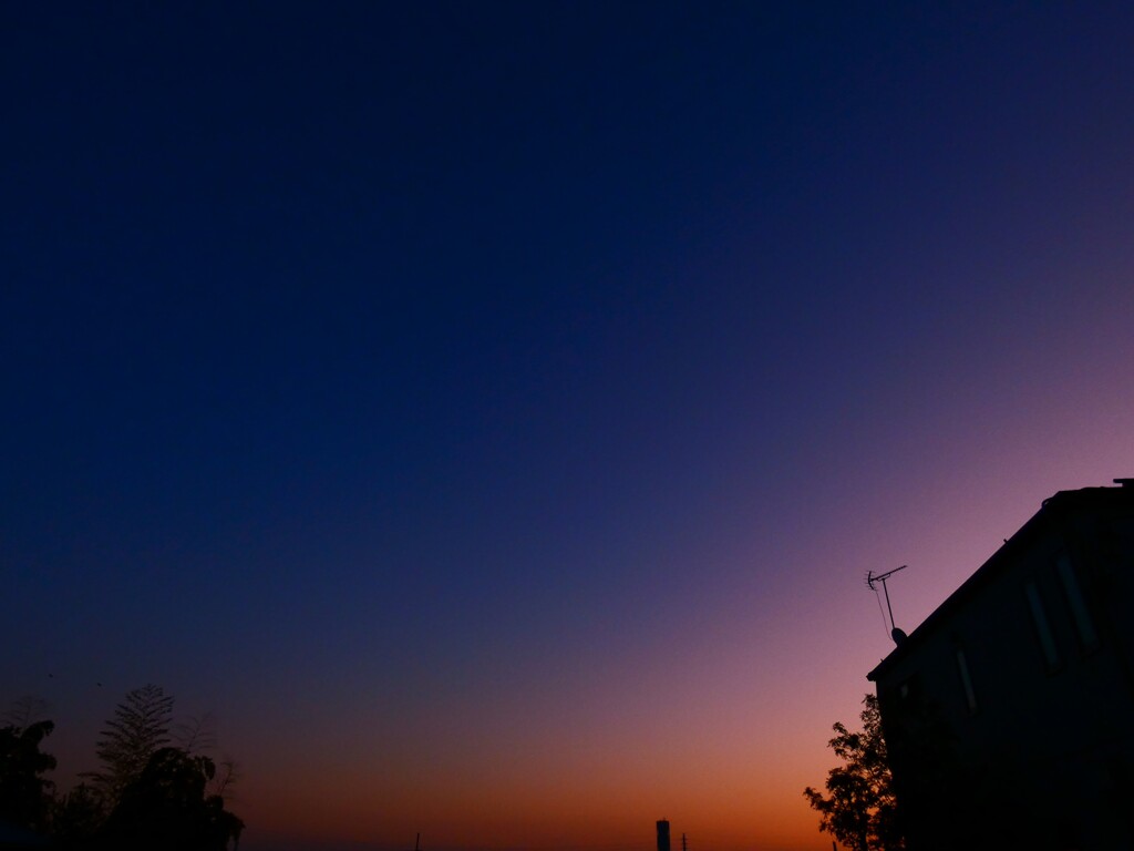 麗しの日の出前