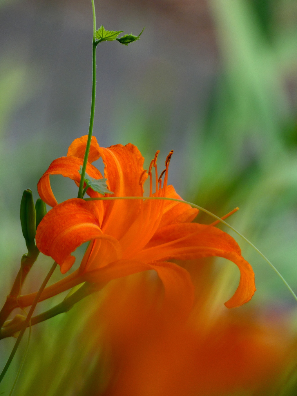 総花的