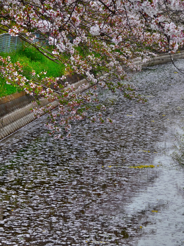 水面とその上