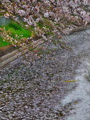 水面とその上