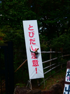 だから危ないってば