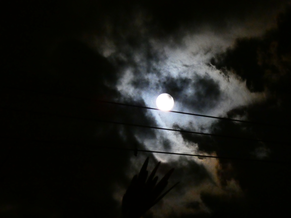 満月の月明かり