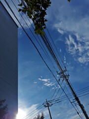 クロスする風景 季節と電線