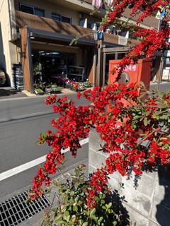 赤い実と赤い箱