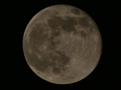 十六夜ビーバームーン x120