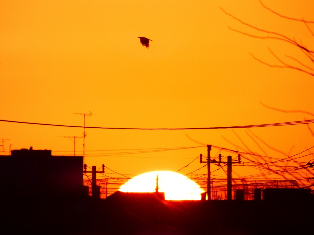 沈む夕陽