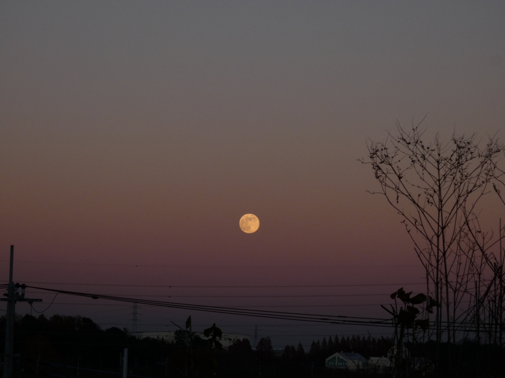 夕焼け色の月
