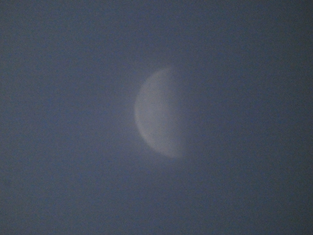 下弦の月になったウルフムーン