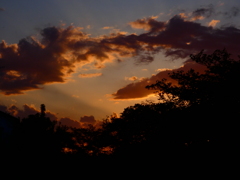 昭和の日の夕焼け