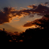 昭和の日の夕焼け