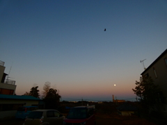 ビーナスベルトと地球影＆カラス