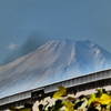 圧縮効果