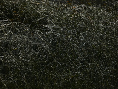 水滴銀河