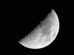 土星出現
